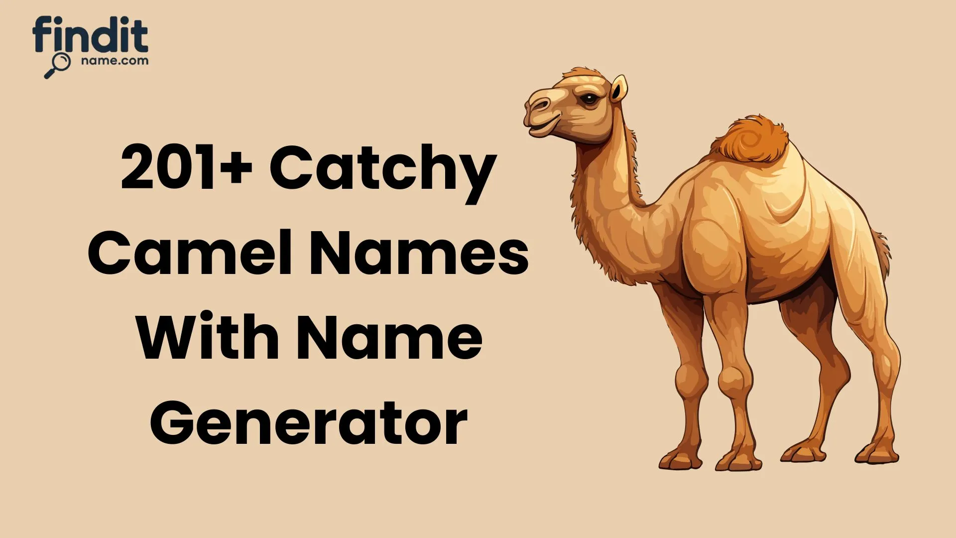 Camel Names