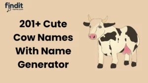 Cute And Funny Cow Names With Generator