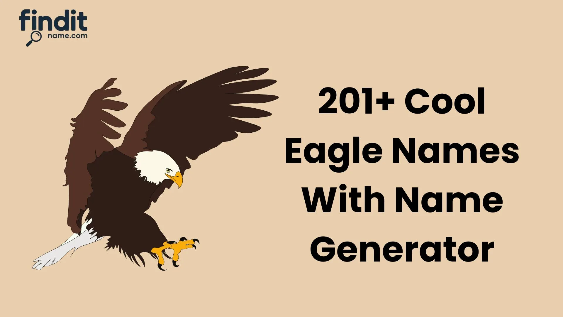 Cool And Catchy Eagle Names With Name Generator