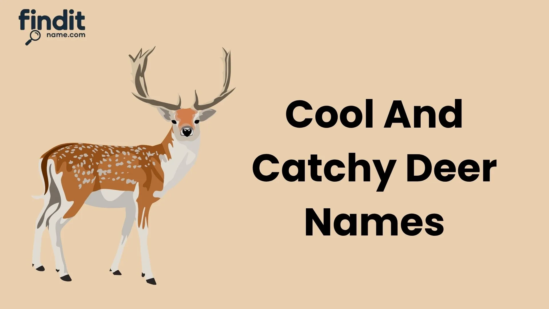 Cool And Catchy Deer Names