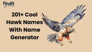 Cool And Catchy Hawk Names With Name Generator