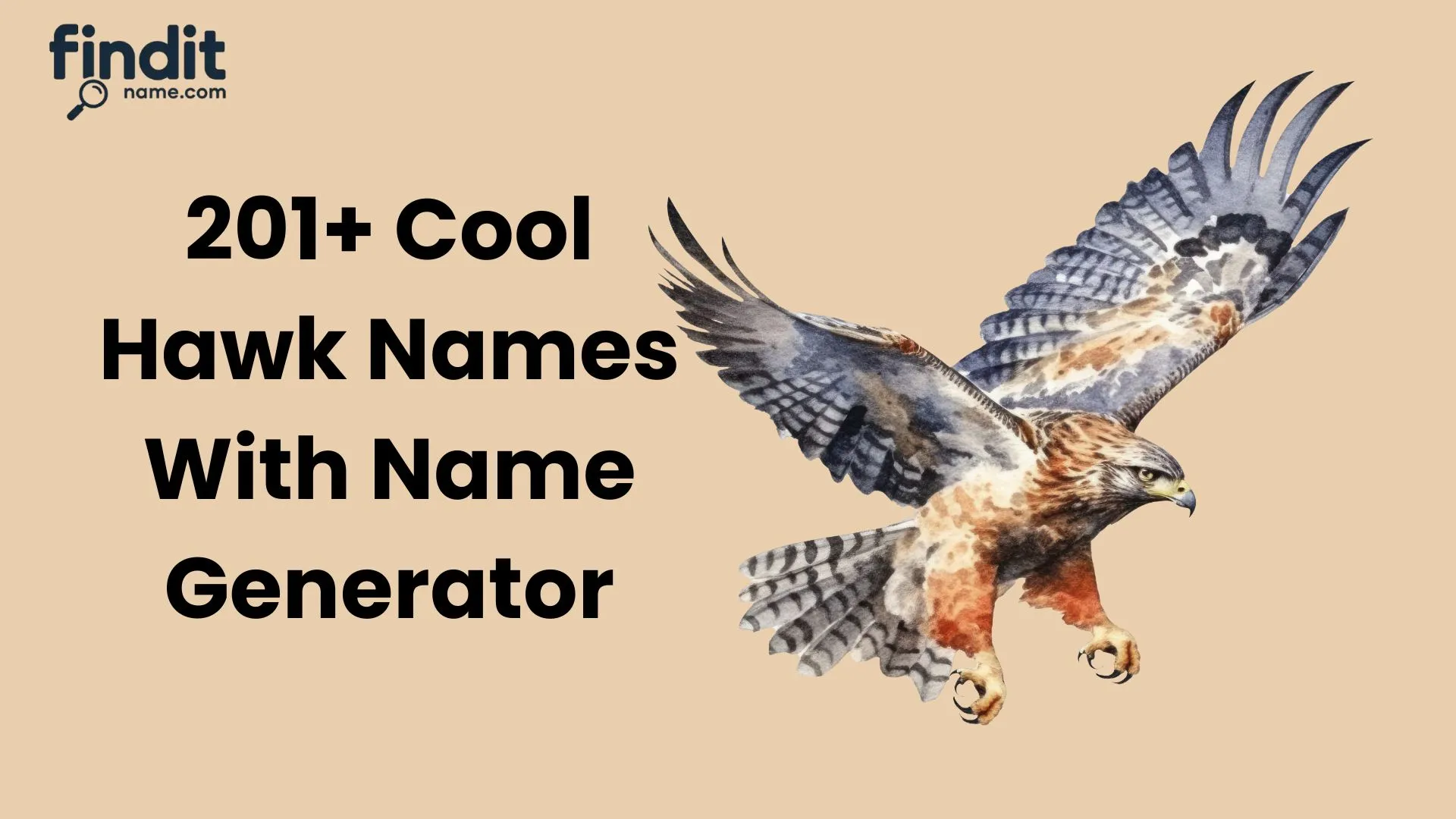 Cool And Catchy Hawk Names With Name Generator