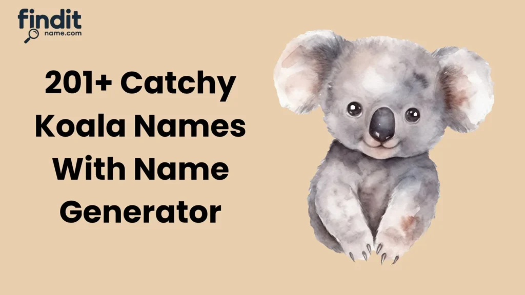 Cute And Catchy Koala Names With Name Generator