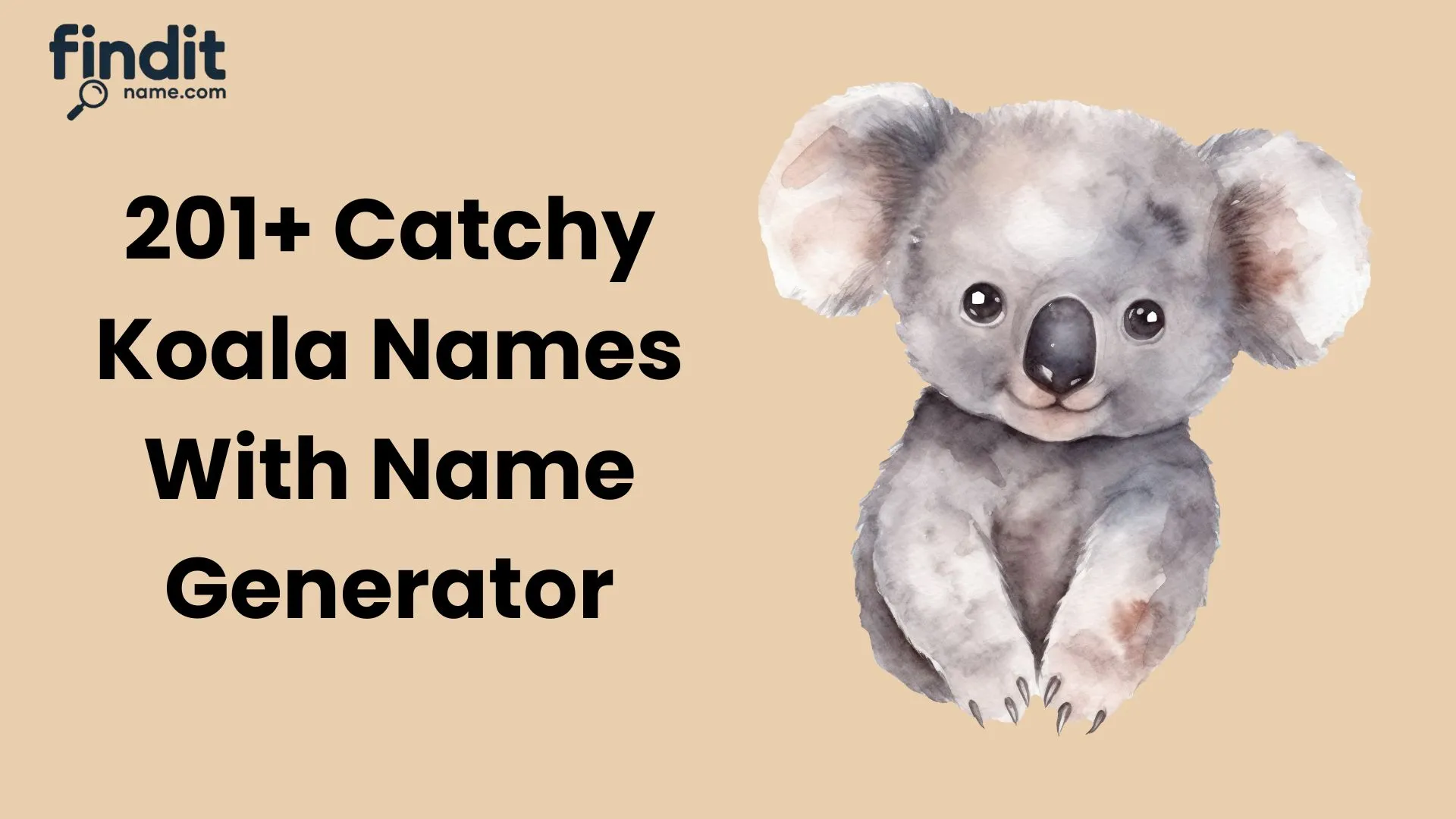 Cute And Catchy Koala Names With Name Generator