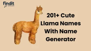 Llama Names