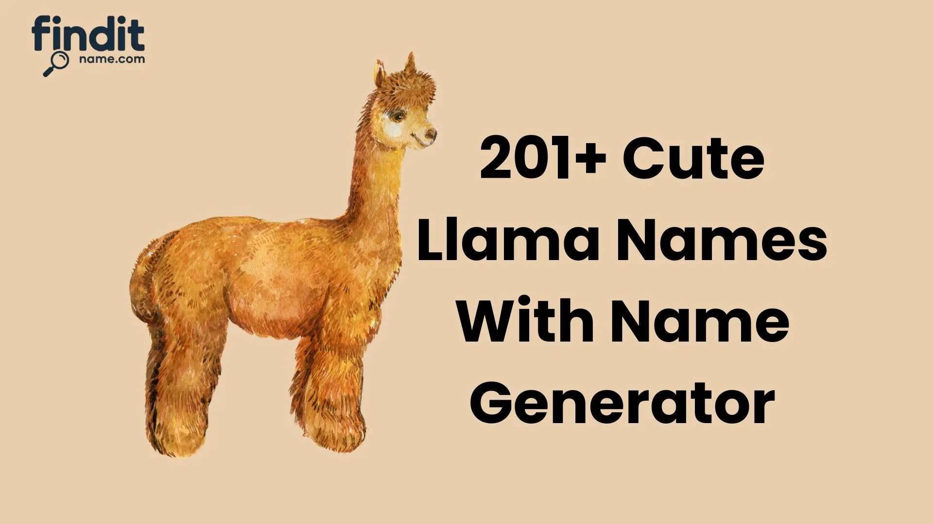Llama Names