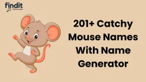 Cute And Catchy Mouse Names With Generator
