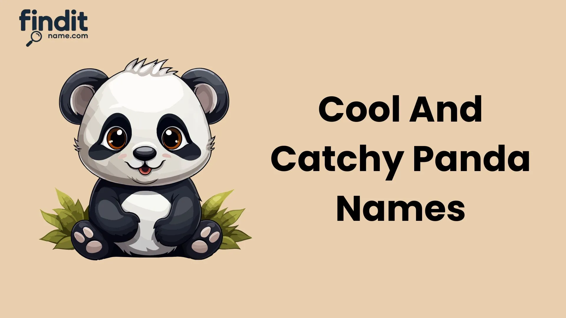 Cool And Catchy Panda Names
