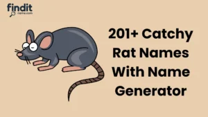 Cute And Catchy Rat Names With Name Generator