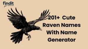 Catchy Raven Names With Name Generator