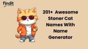Awesome Stoner Cat Names