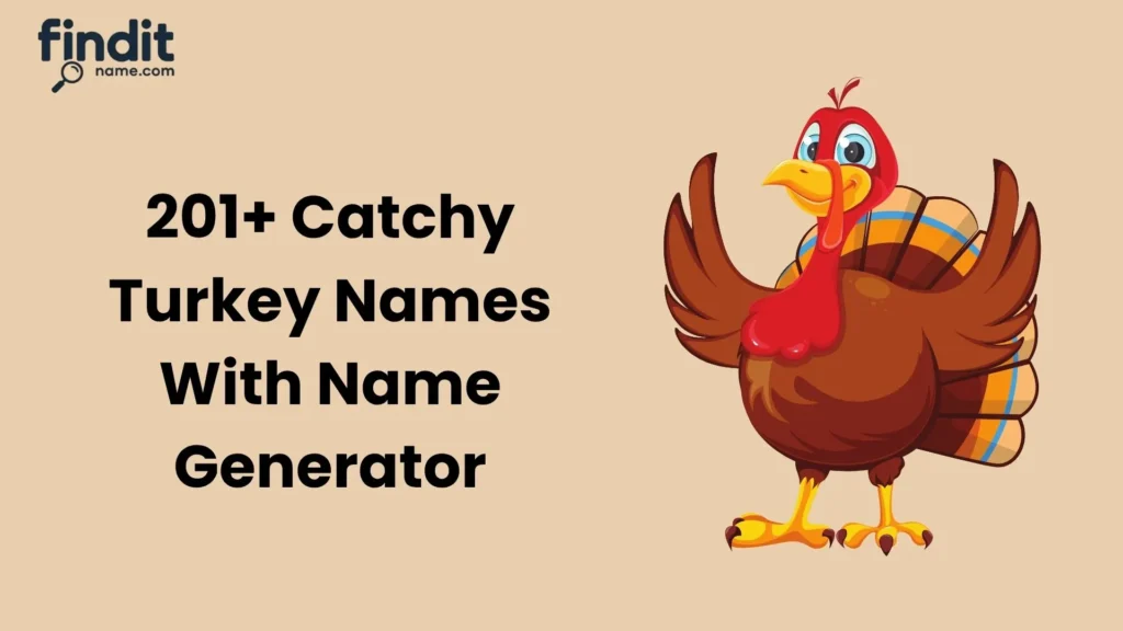 Cool And Catchy Turkey Names With Name Generator