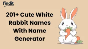 Cute White Rabbit Names With Name Generator