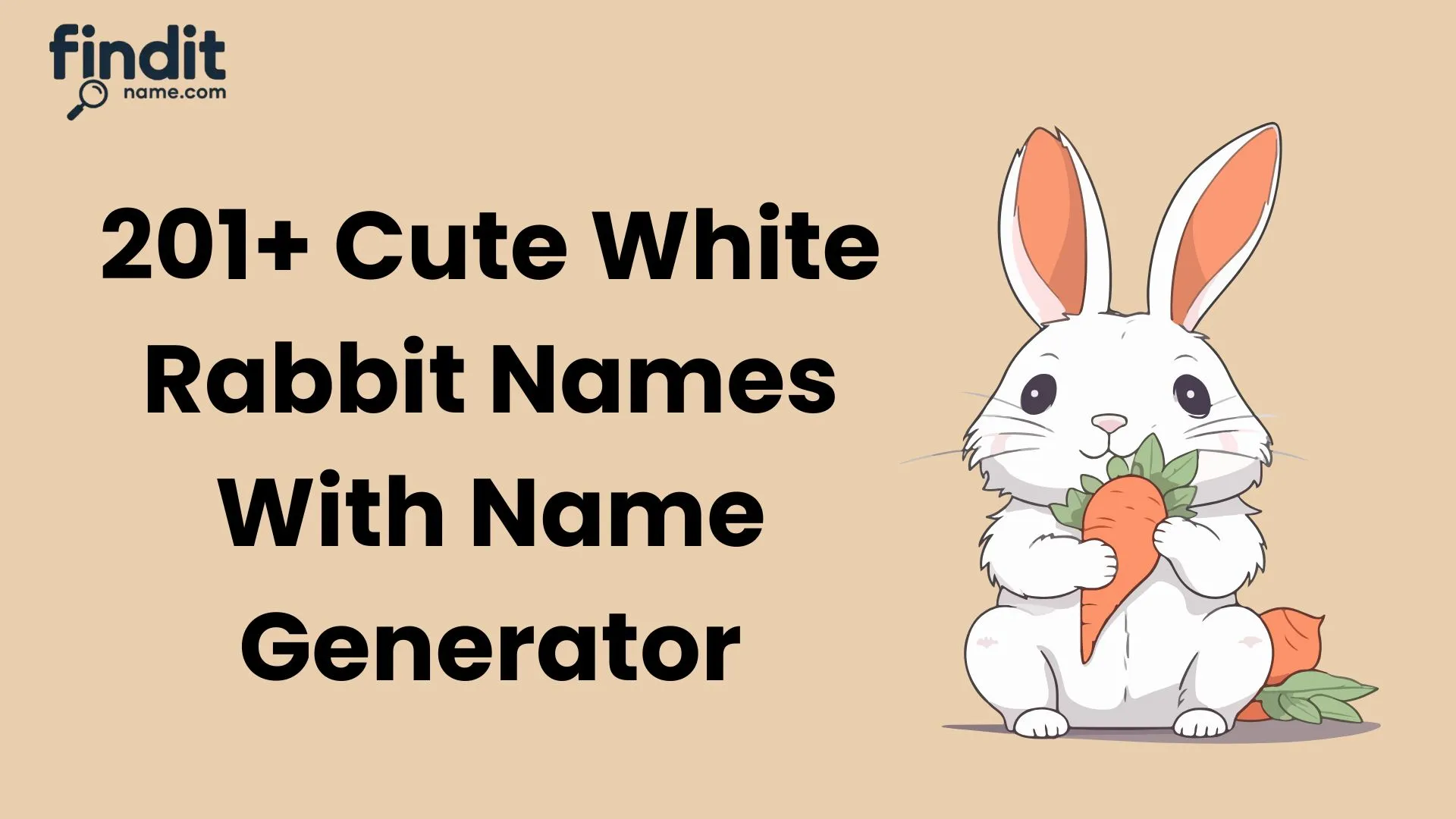 Cute White Rabbit Names With Name Generator