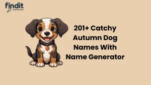 Autumn Dog Names