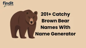 Badass Brown Bear Names