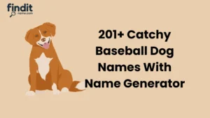 Baseball Dog Names
