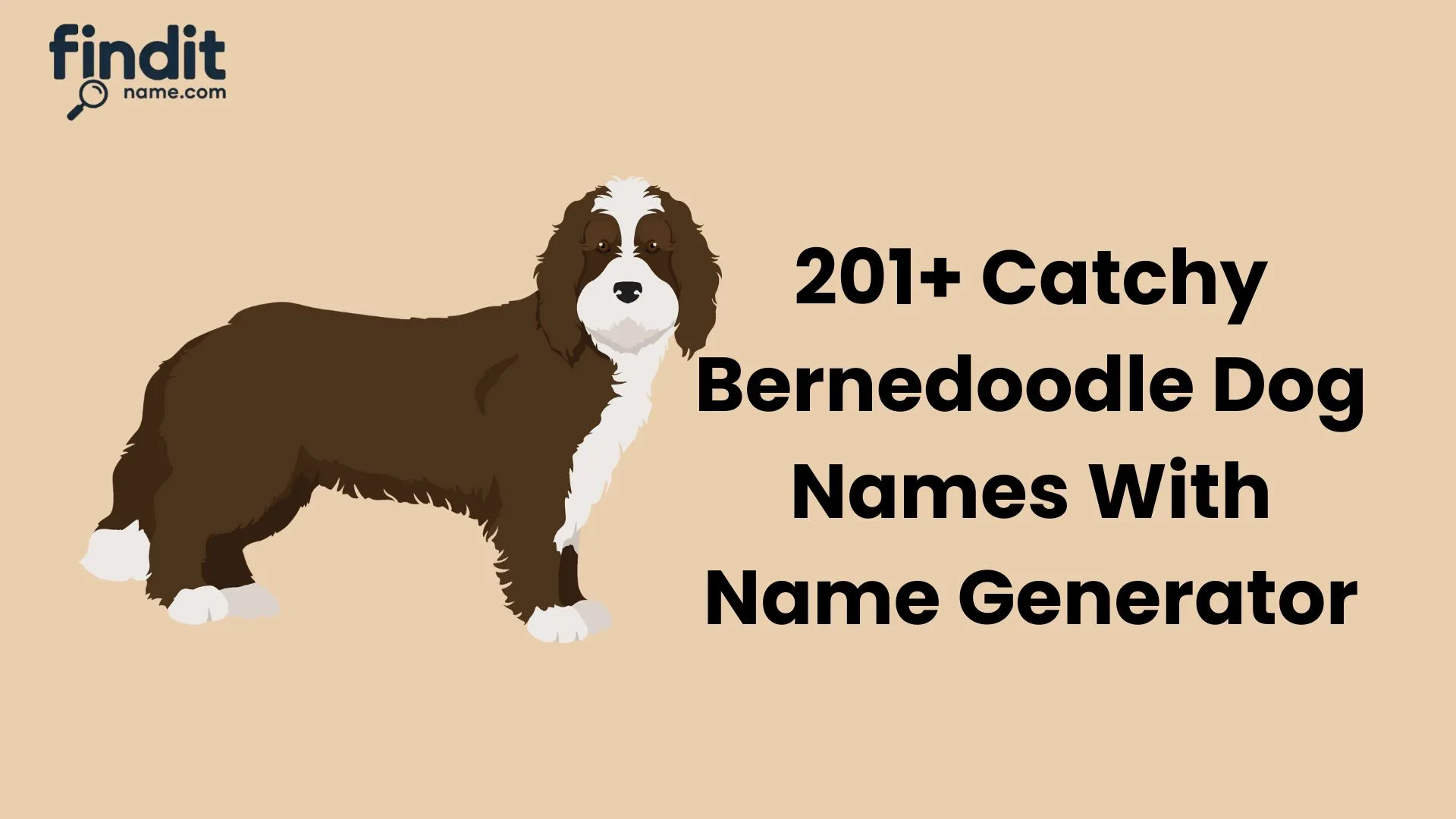 Bernedoodle Dog Names