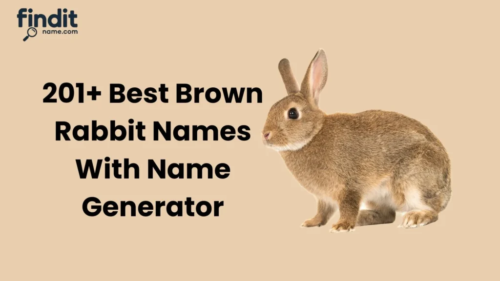 Best Brown Rabbit Names