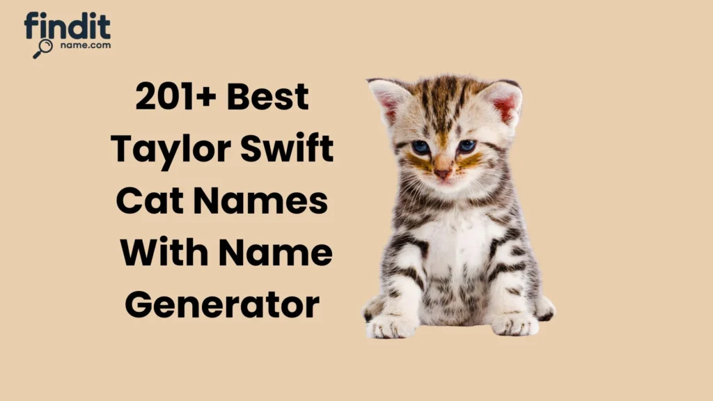 Best Taylor Swift Cat Names