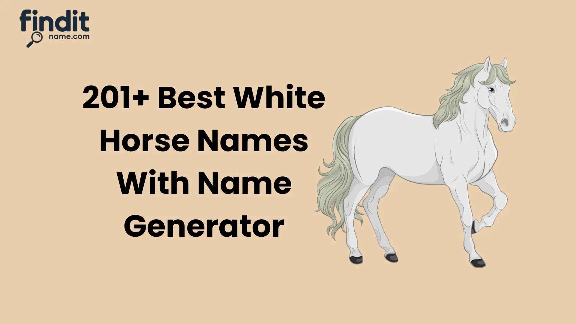 Best White Horse Names