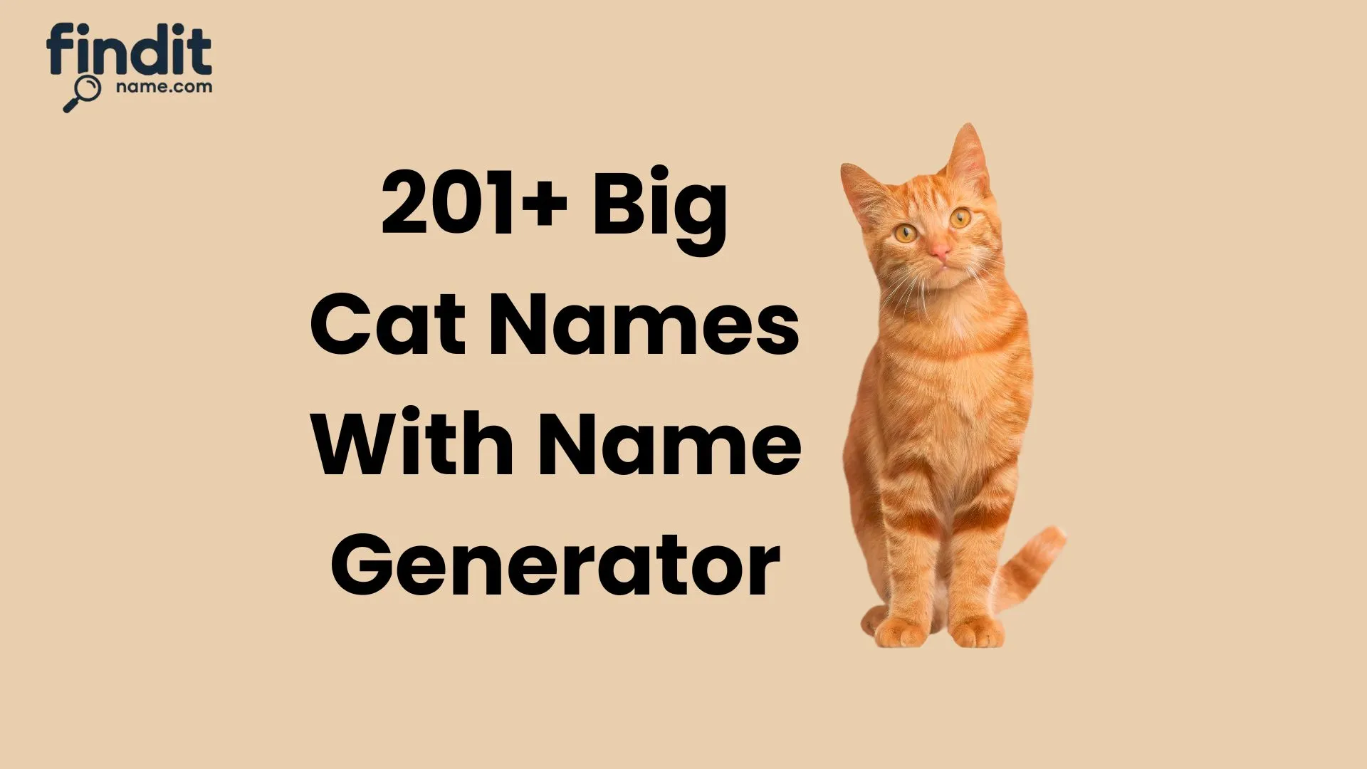 Cool and Catchy Big Cat Names With Name Generator