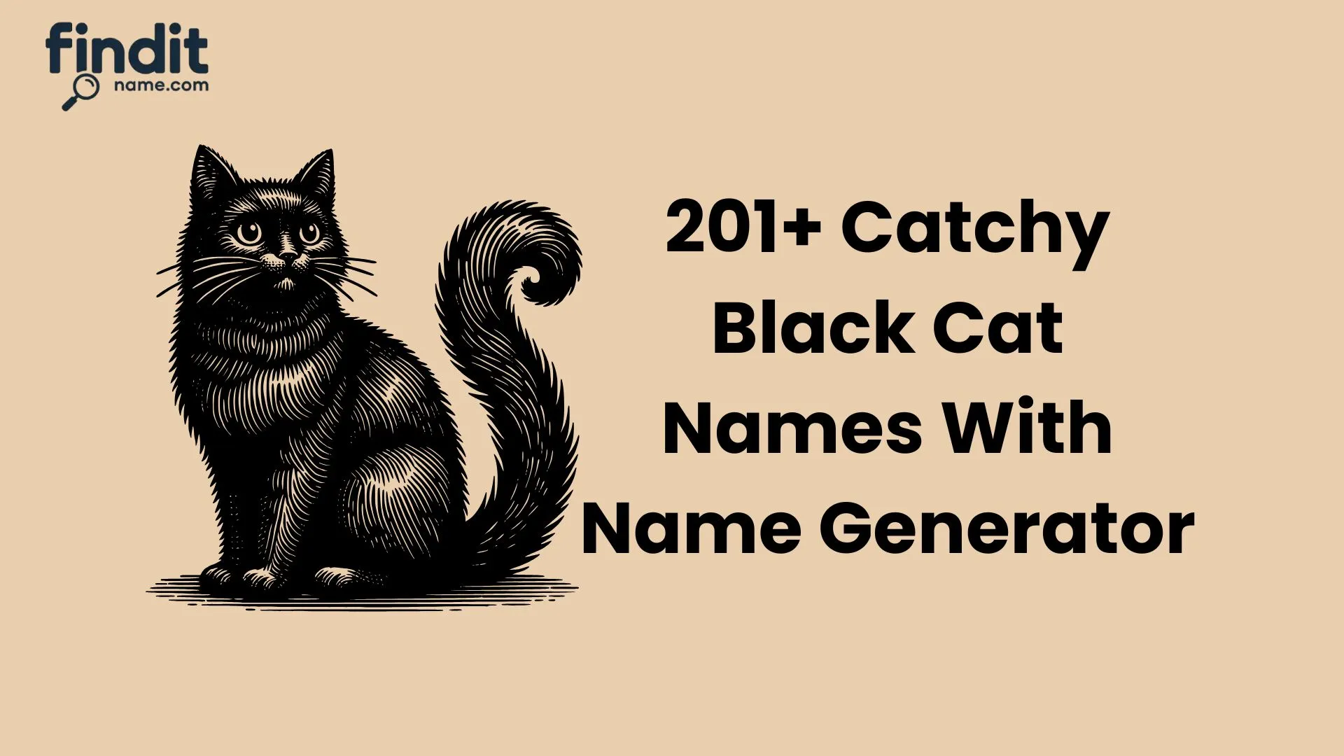 Cute And Catchy Black Cat Names With Name Generator