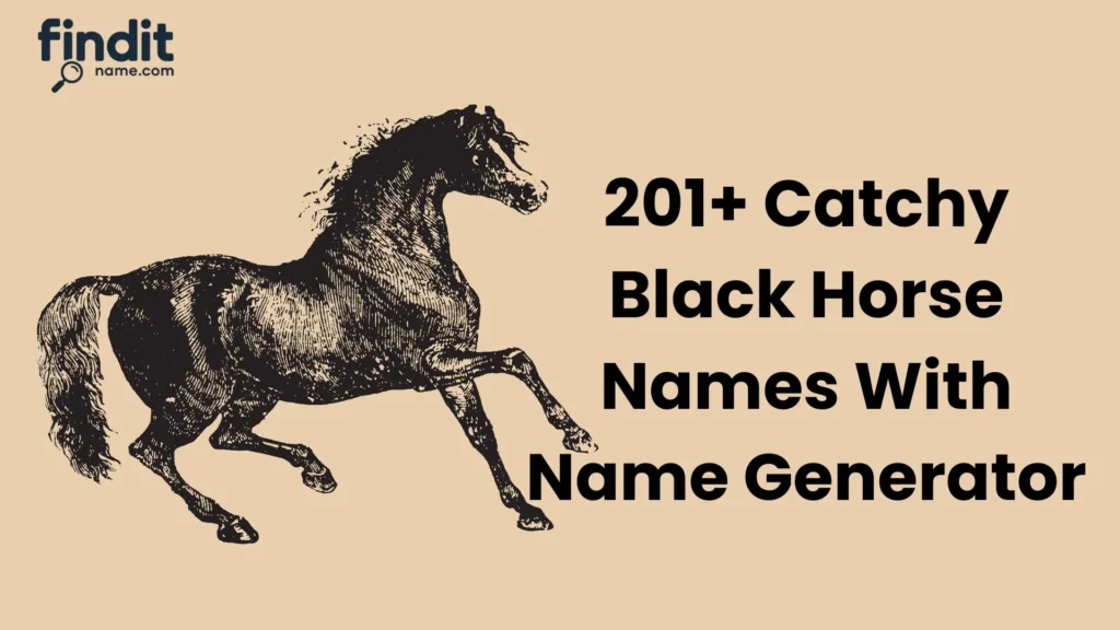 Catchy Black Horse Names