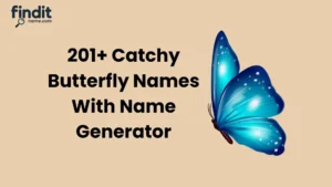 Cute And Catchy Butterfly Names With Name Generator