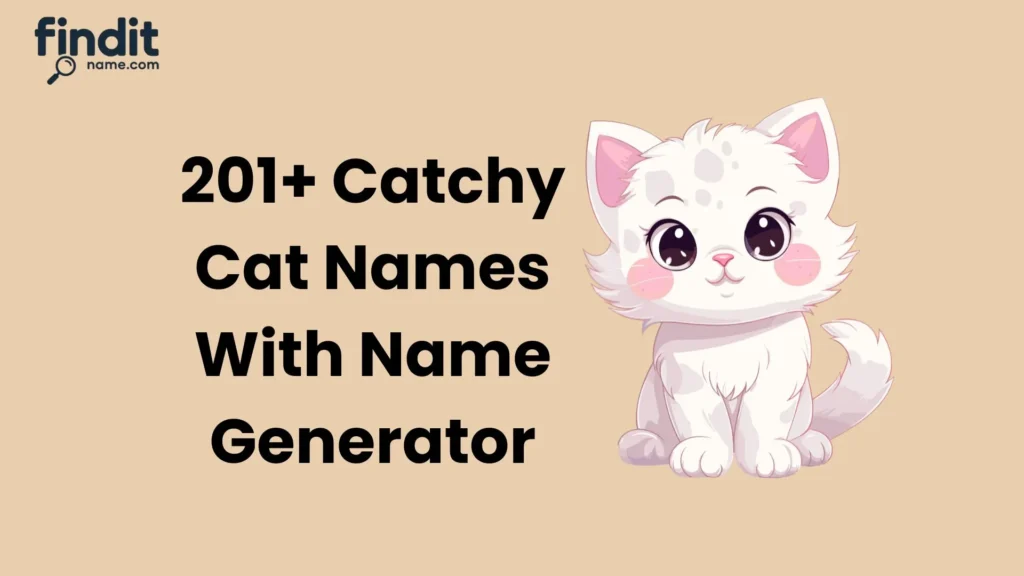 Cute And Catchy Cat Names With Name Generator