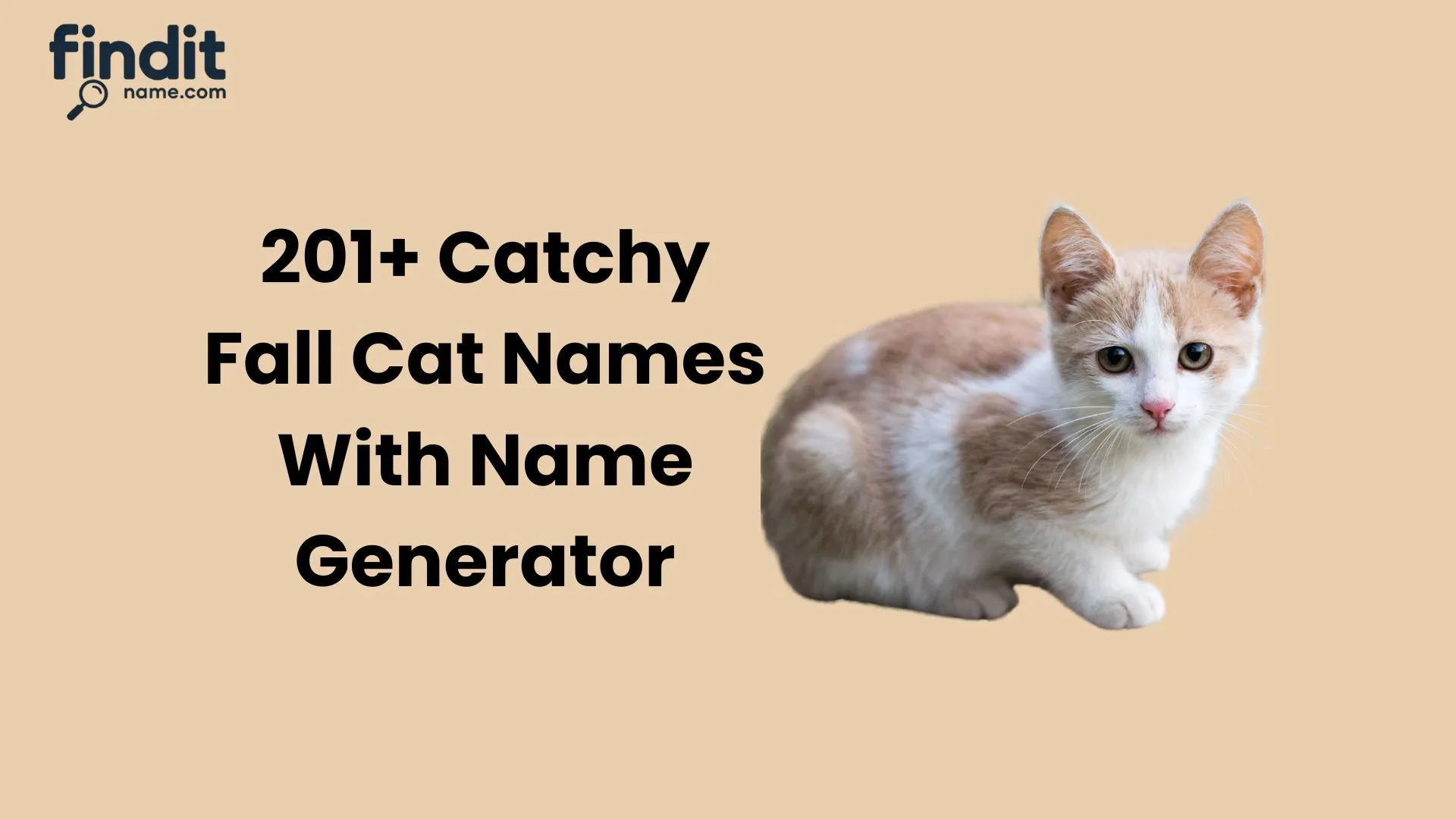Cool And Catchy Fall Cat Names With Name Generator