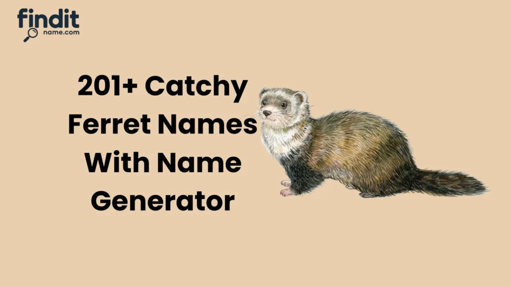 Catchy Ferret Names
