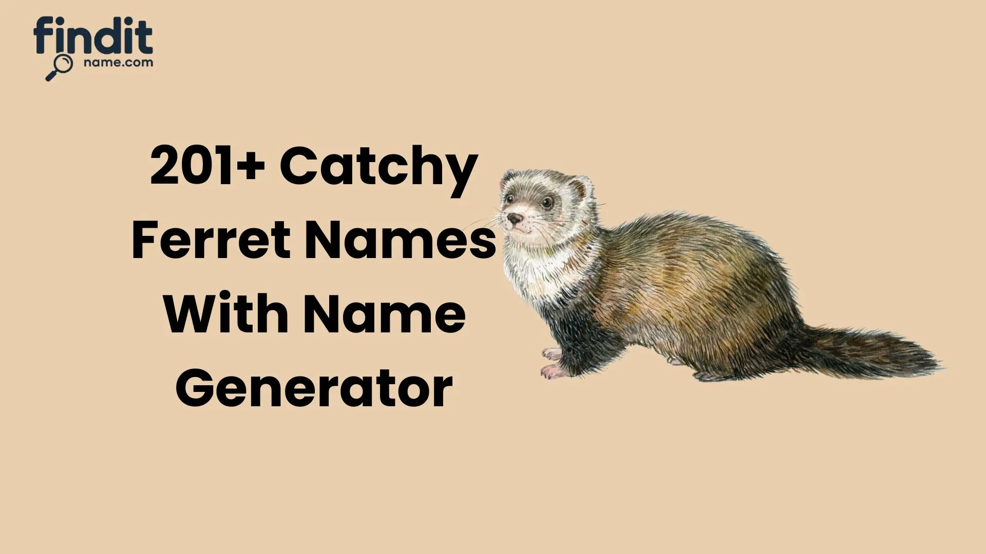 Catchy Ferret Names