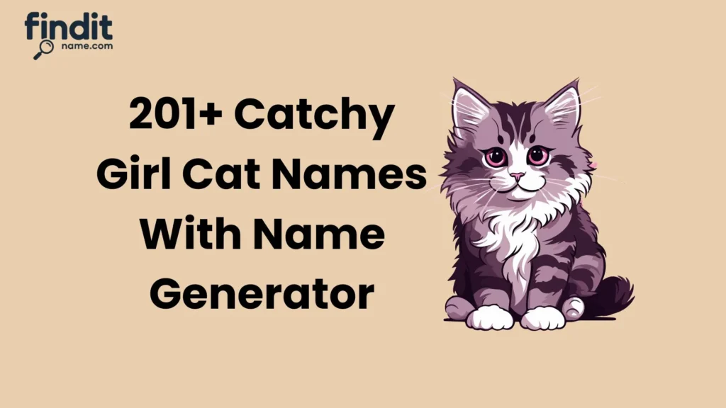 Catchy Girl Cat Names