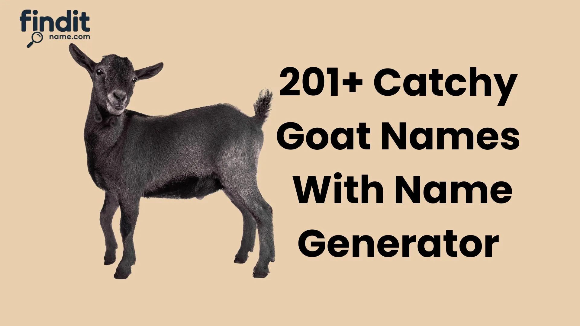 Catchy Goat Names