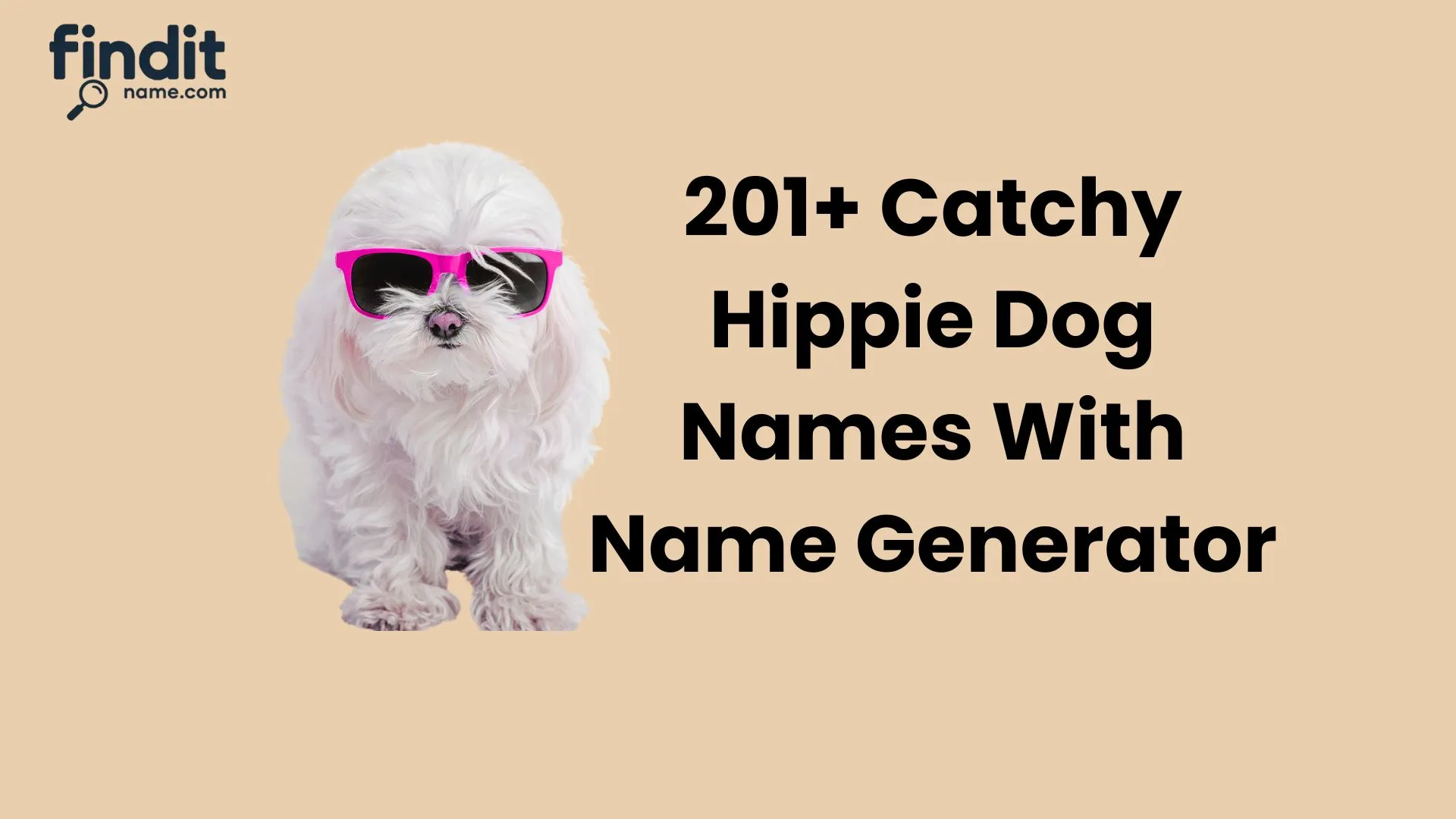 Catchy Hippie Dog Names