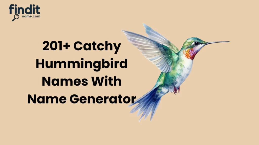 Catchy Hummingbird Names
