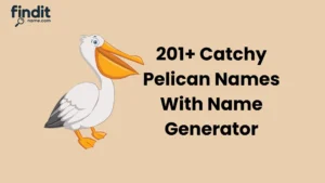 Catchy Pelican Names