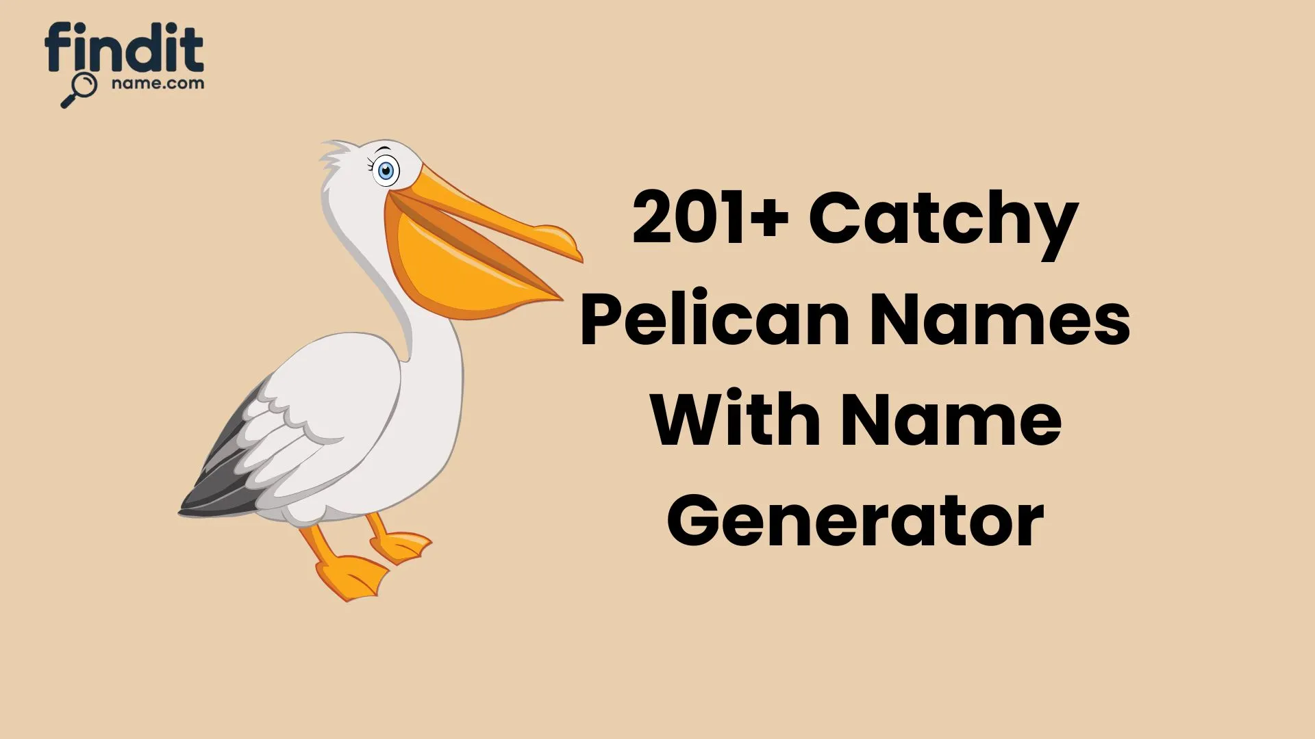 Catchy Pelican Names