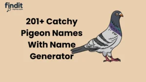 Catchy Pigeon Names