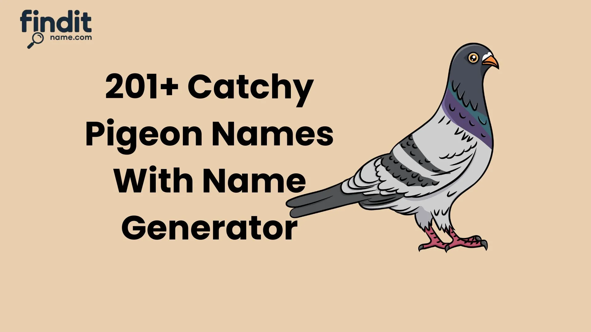 Catchy Pigeon Names