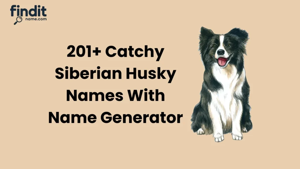 Catchy Siberian Husky Names