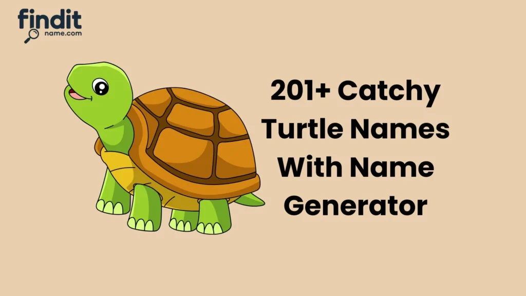 Catchy Turtle Names