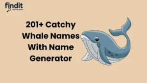 Catchy Whale Names