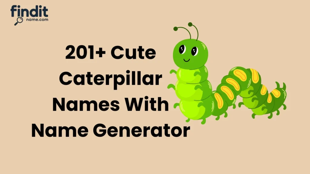 Caterpillar Names