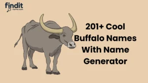 Cool Buffalo Names