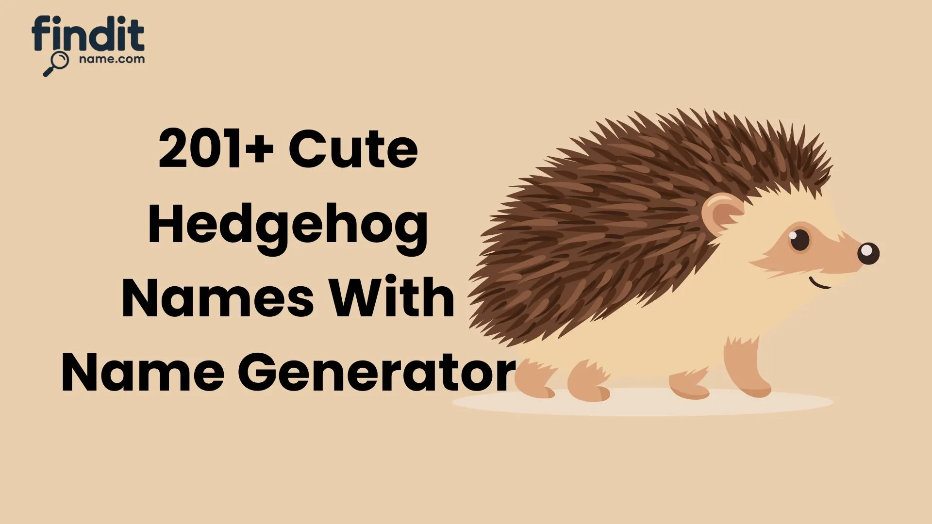 Cute Hedgehog Names