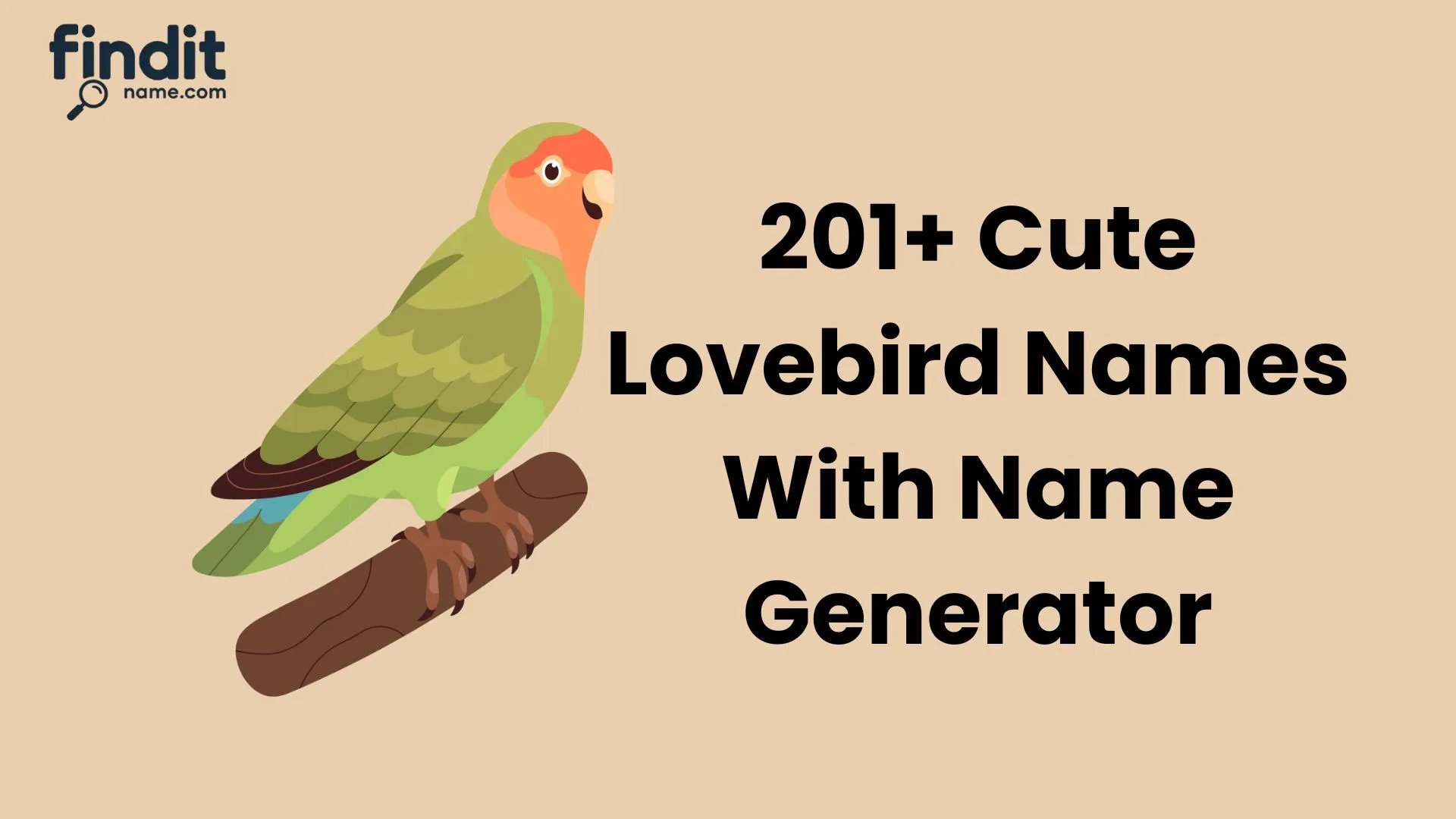 Cute Lovebird Names