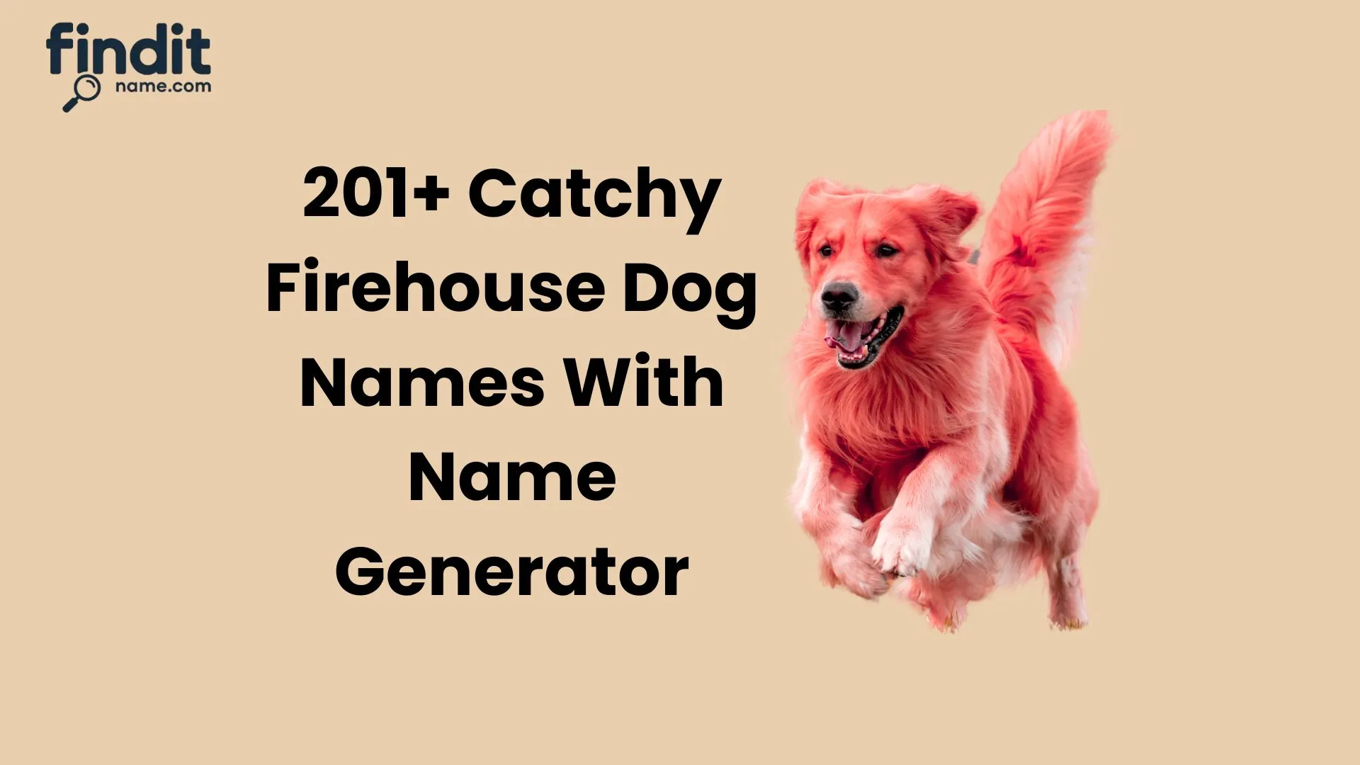 Firehouse Dog Names