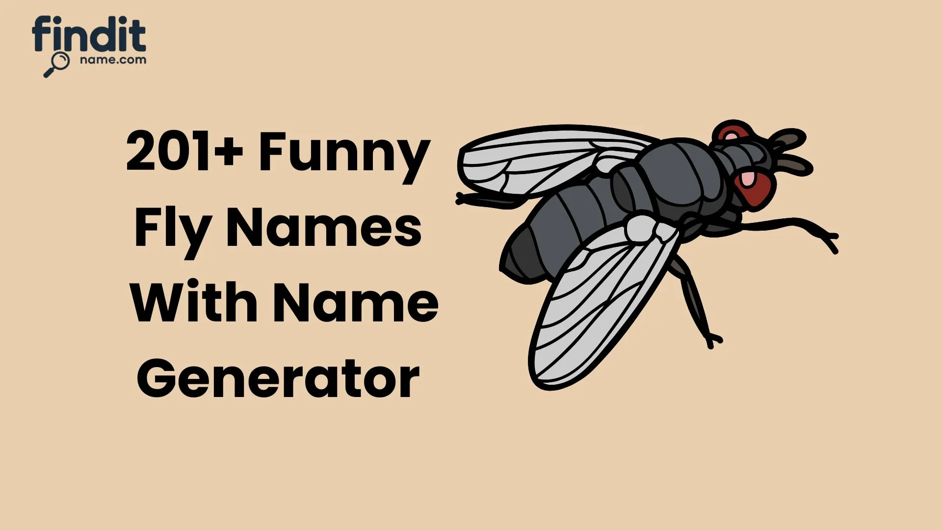 Funny Fly Names